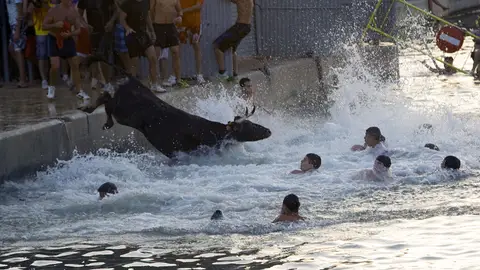 Cien años de historia de los Bous a la mar Cien años de historia de los Bous a la mar