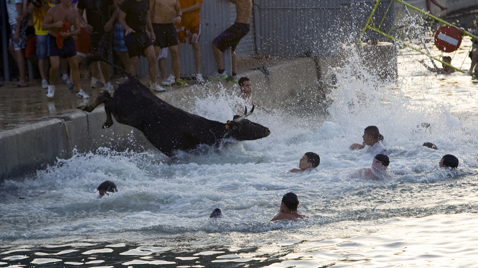 Cien años de historia de los Bous a la mar Cien años de historia de los Bous a la mar