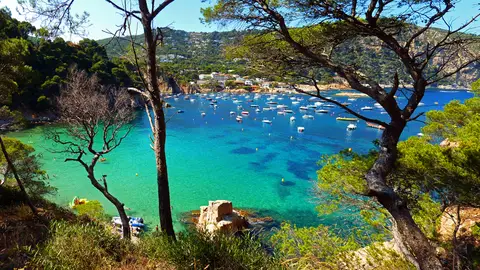 Cala de Aiguablava, en la Costa Brava Cala de Aiguablava, en la Costa Brava