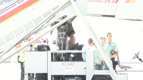 El cuerpo encontrado en el tren de aterrizaje