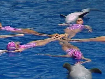 Natación sincronizada con delfines Natación sincronizada con delfines