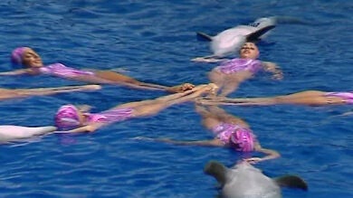 Natación sincronizada... Con delfines