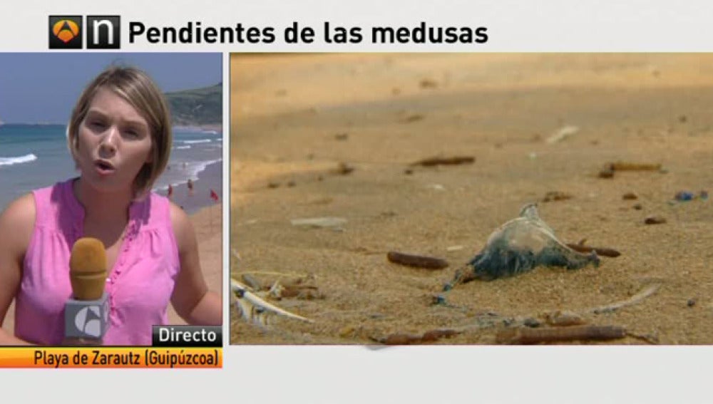 Sin rastro de las medusas un día después de la avalancha en la playa de Zarautz