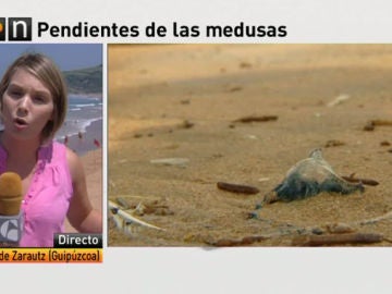 Sin rastro de las medusas un día después de la avalancha en la playa de Zarautz