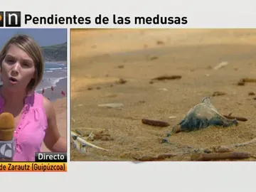 Sin rastro de las medusas un día después de la avalancha en la playa de Zarautz Sin rastro de las medusas un día después de la avalancha en la playa de Zarautz