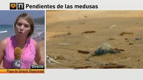 Sin rastro de las medusas un día después de la avalancha en la playa de Zarautz Sin rastro de las medusas un día después de la avalancha en la playa de Zarautz