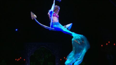 'Crazy Love' viste el circo Price de Madrid hasta el 7 de agosto