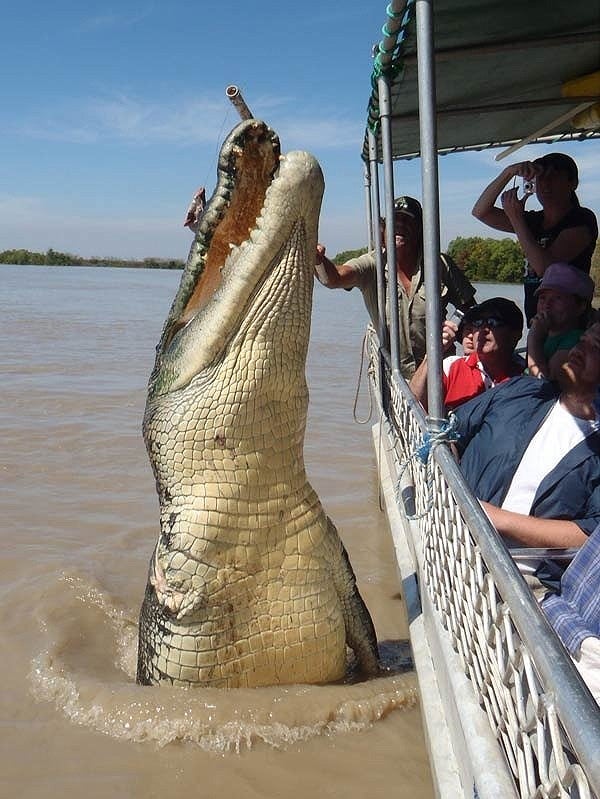 Brutus salta a la fama a raiz de una polémica fotografía