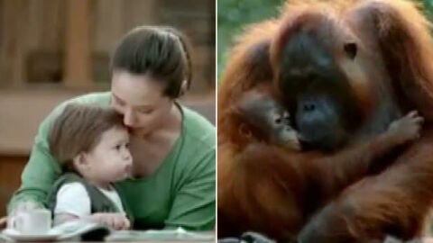 No somos tan distintos