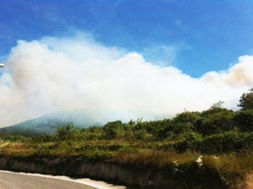 Incendio forestal en La Riba