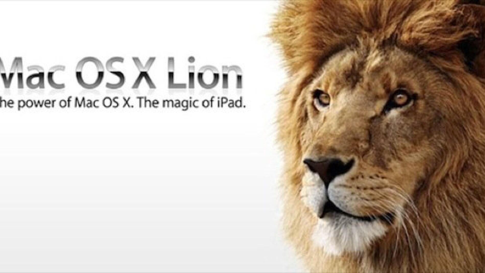 Mac OS X Lion