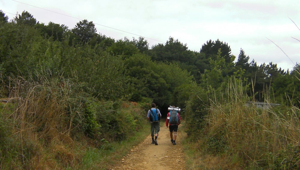 Peregrinos en el Camino de Santiago