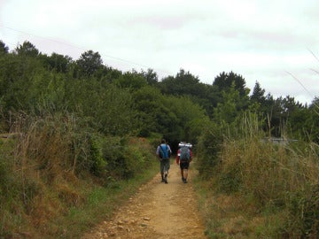 Peregrinos en el Camino de Santiago