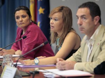 Pajín anuncia un grupo de trabajo para abordar la violencia en parejas homosexuales