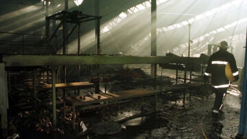 Un espectacular incendio calcina el una empresa de reciclaje