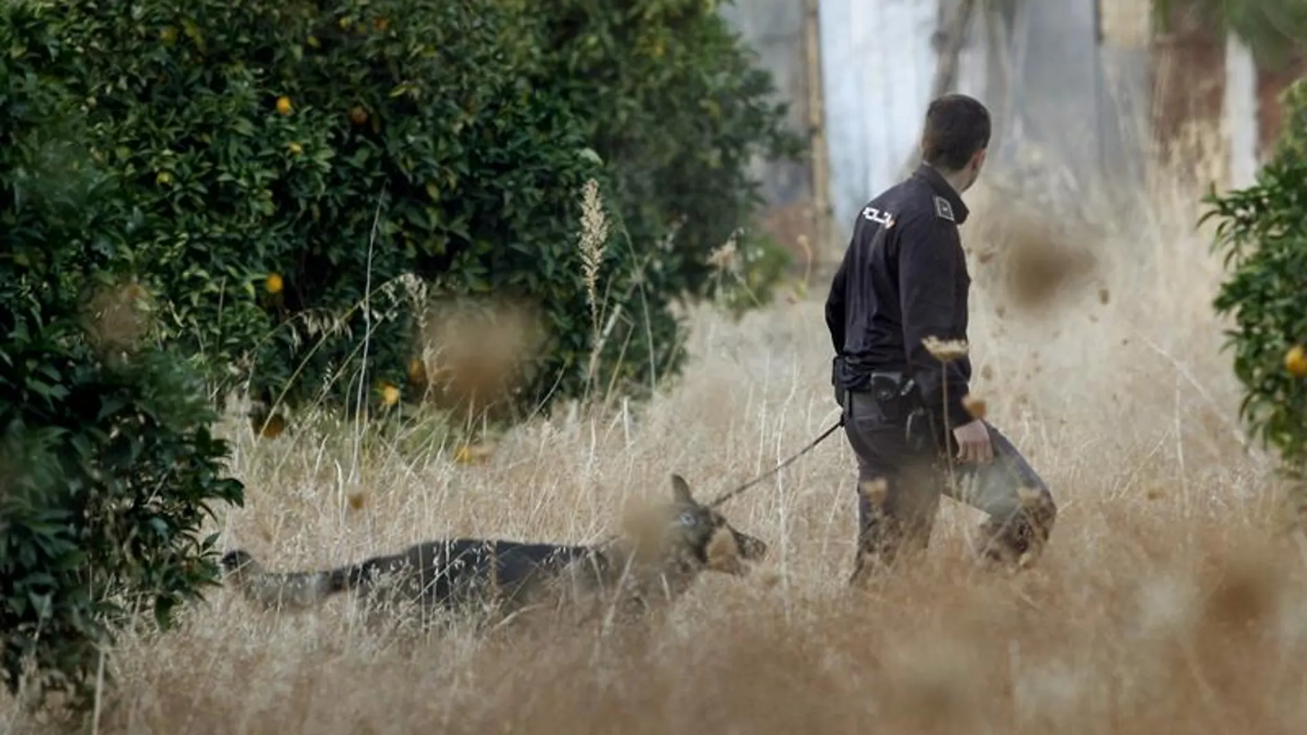 Un agente con un perro de la unidad canina de la Policía Nacional Un agente con un perro de la unidad canina de la Policía Nacional