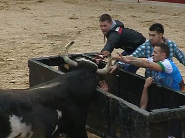 Unos jóvenes en un encierro junto a un toro