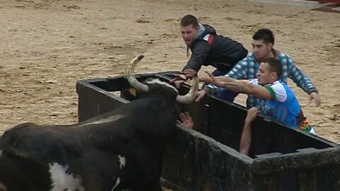 Unos j&oacute;venes en un encierro junto a un toro