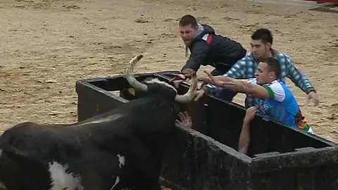 Unos jóvenes en un encierro junto a un toro Unos jóvenes en un encierro junto a un toro