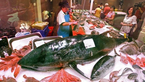 Un at&uacute;n de m&aacute;s de 140 kilos en Bilbao