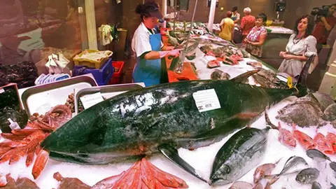 Un atún de más de 140 kilos en Bilbao Un atún de más de 140 kilos en Bilbao