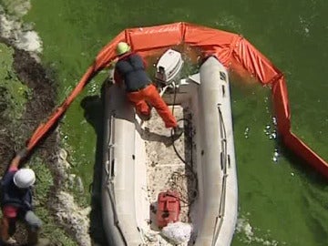 Comienza la retirada de algas tóxicas del embalse de As Conchas