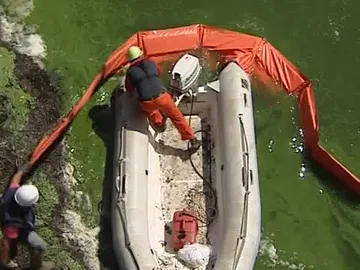 Comienza la retirada de algas tóxicas del embalse de As Conchas Comienza la retirada de algas tóxicas del embalse de As Conchas