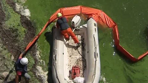 Comienza la retirada de algas t&oacute;xicas del embalse de As Conchas