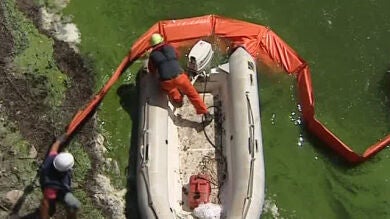 Comienza la retirada de algas tóxicas del embalse de As Conchas