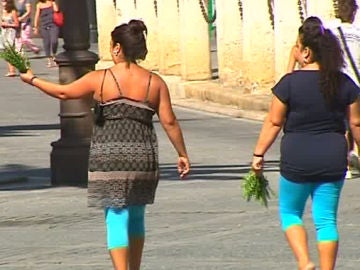 Denuncias contra las 'claveleras' en Andalucía Denuncias contra las 'claveleras' en Andalucía
