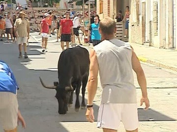 Herido por una vaquilla que se escapó en el encierro de Vilamarxant Herido por una vaquilla que se escapó en el encierro de Vilamarxant