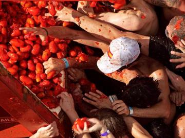 Varias personas cogen los tomates que caen del remolque Varias personas cogen los tomates que caen del remolque