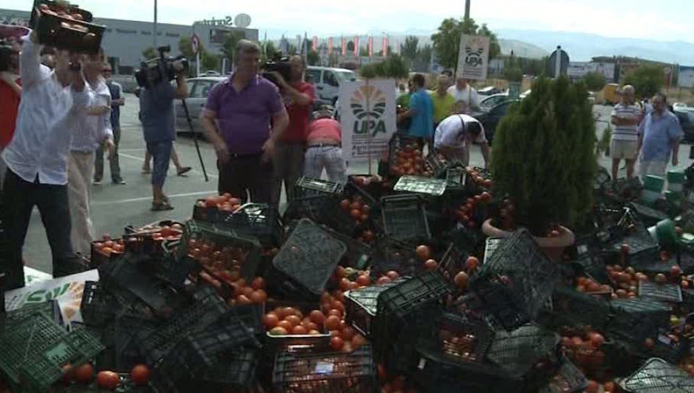 Agricultores tiran tomates en la calle