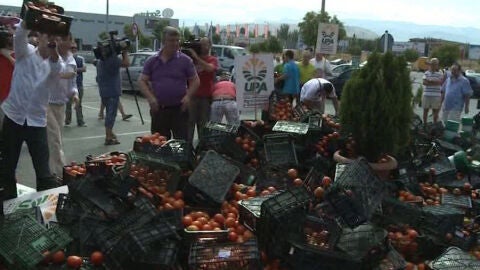 Agricultores tiran tomates en la calle