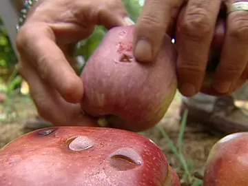 Once provincias están en alerta por lluvias y tormentas Once provincias están en alerta por lluvias y tormentas