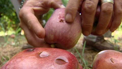 Once provincias est&aacute;n en alerta por lluvias y tormentas