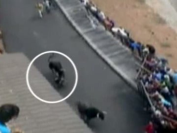 Muere un hombre corneado por un toro en los encierros de Molinicos