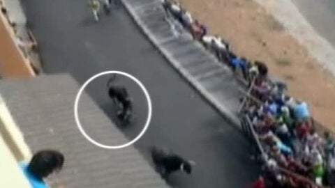 Muere un hombre corneado por un toro en los encierros de Molinicos