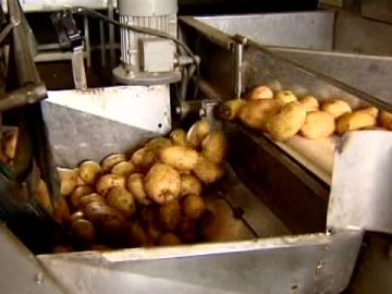 Más de 2 mil kilos de papas esperan para ser vendidas