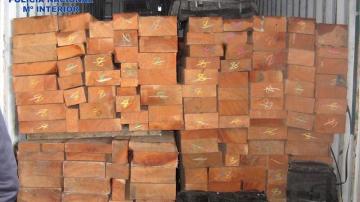Interceptados 213 kilos de cocaína
