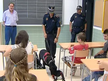 'Perros policía' buscan droga en los institutos alicantinos 'Perros policía' buscan droga en los institutos alicantinos