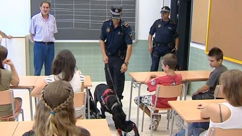 'Perros polic&iacute;a' buscan droga en los institutos alicantinos