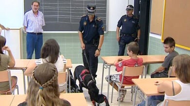 'Perros policía' buscan droga en los institutos alicantinos