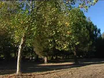 El otoño se resiste a llegar El otoño se resiste a llegar
