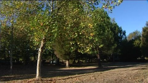 El oto&ntilde;o se resiste a llegar