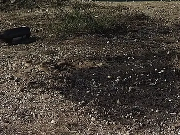 Imagen del lugar donde explotó el bidón de líquido inflamable Imagen del lugar donde explotó el bidón de líquido inflamable