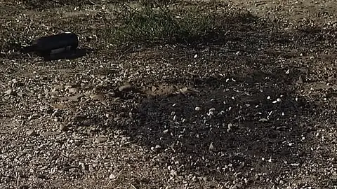 Imagen del lugar donde explotó el bidón de líquido inflamable Imagen del lugar donde explotó el bidón de líquido inflamable