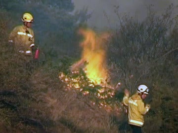 Incendio en Lérida Incendio en Lérida