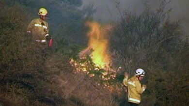 Un incendio en Lérida ha quemado 200 hectáreas de vegetación