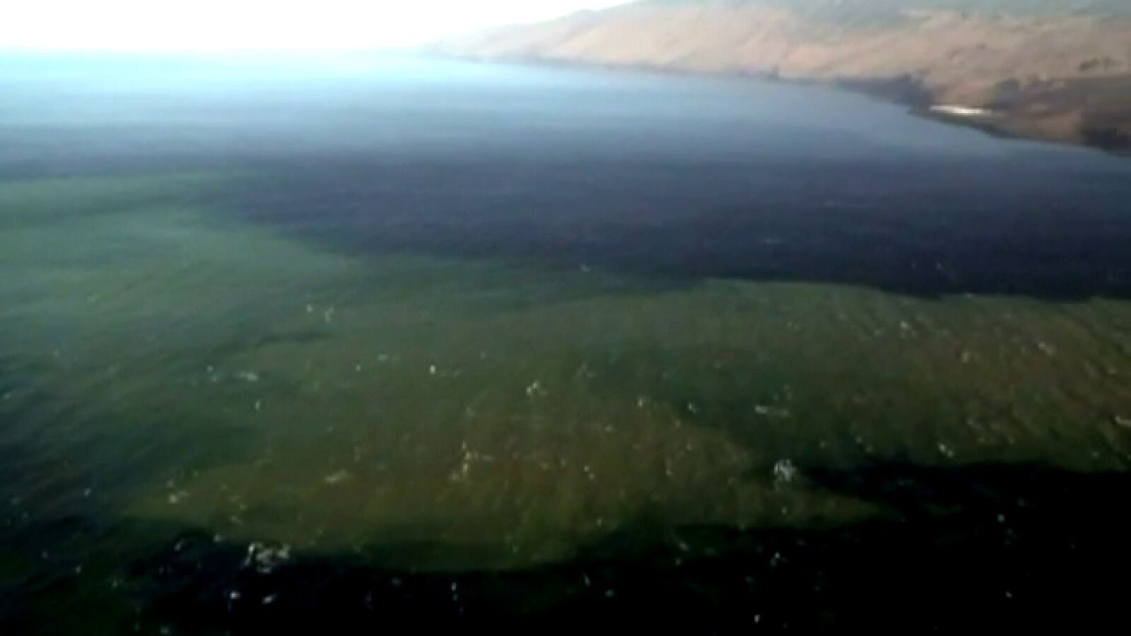 Las manchas del volcán submarino se acercan a tierra